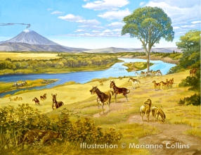 Miocene Horses, courtesy of Marianne Collins