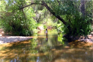 A wade in the stream (10 yrs old)